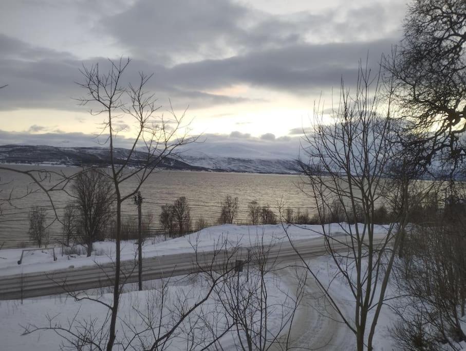 Apartment In Tromso With Sea And Mountain View Eksteriør billede